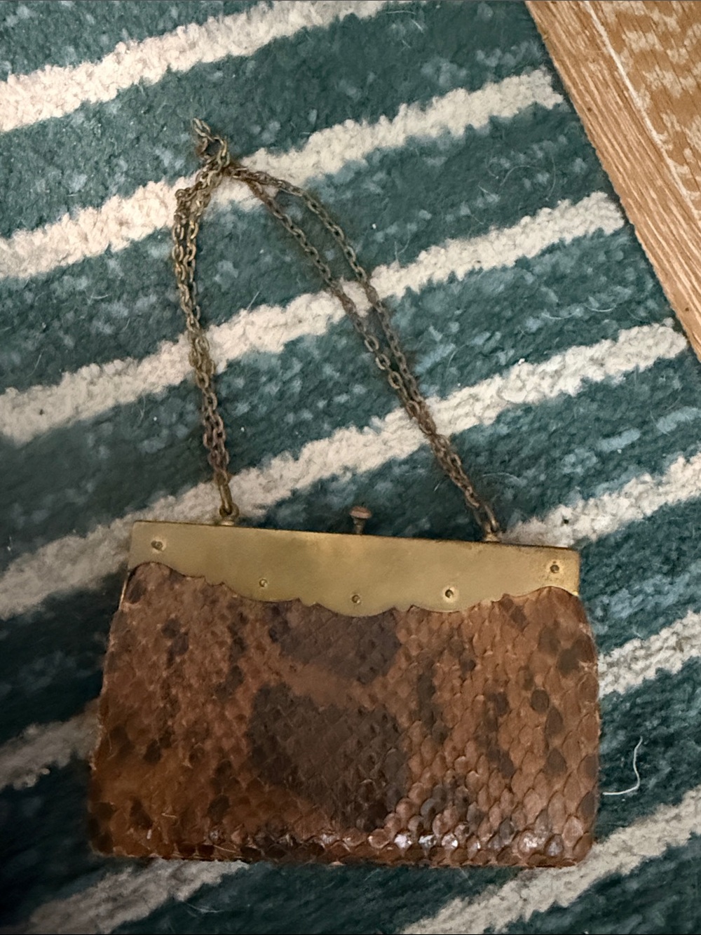 Brown Snake-Scale Chain-Handle Evening Clutch with Bronze Hardware - Picture 3 of 5